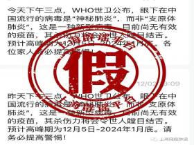 世界卫生组织称有“神秘肺炎”？上海辟谣平台：谣言